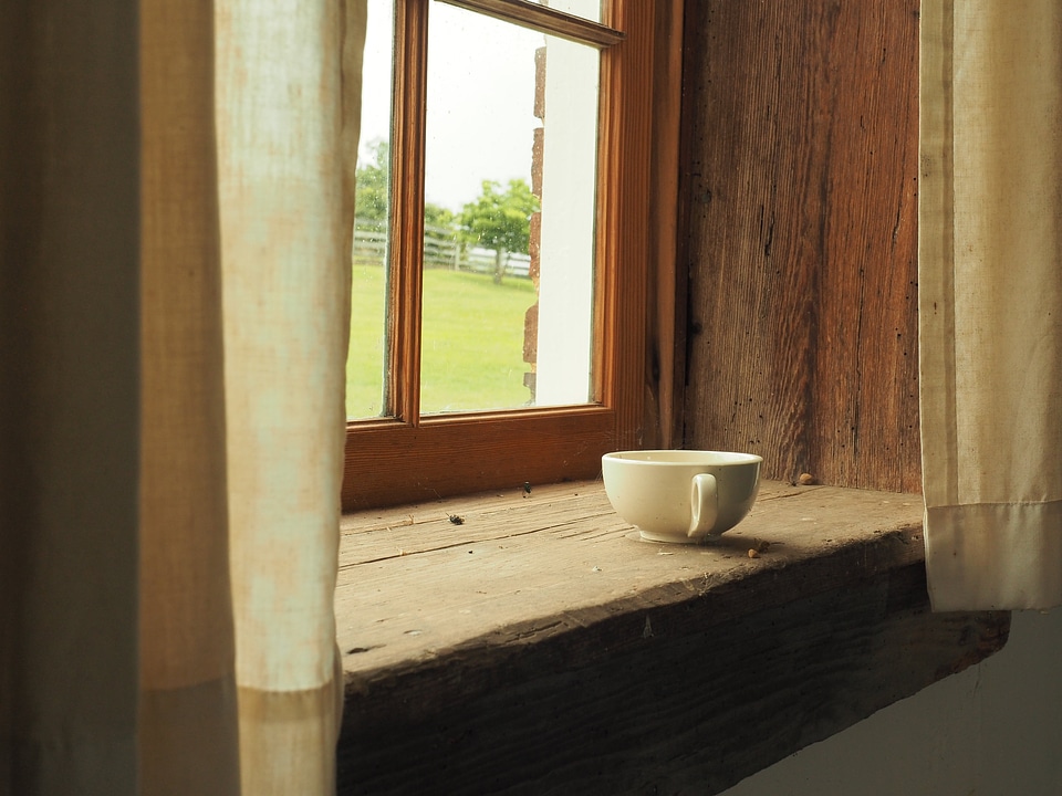 Bowl hardwood plywood