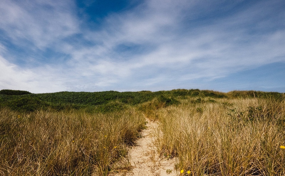 Countryside dirt road field photo