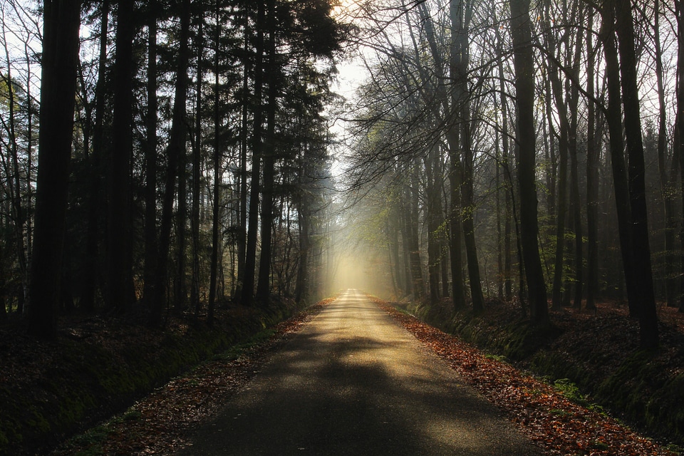 Asphalt dirt road flare photo