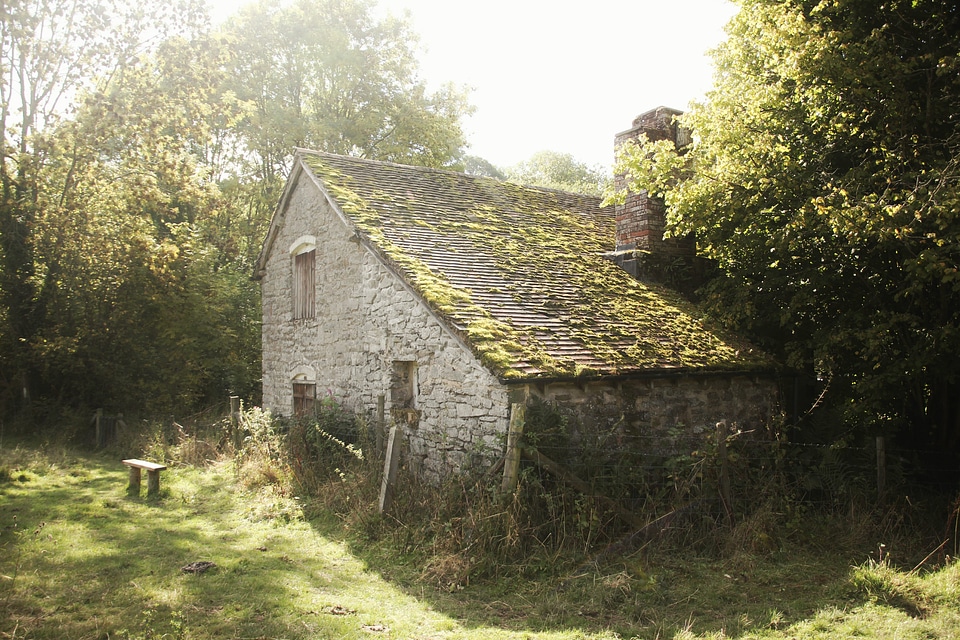 Building cabin cottage photo