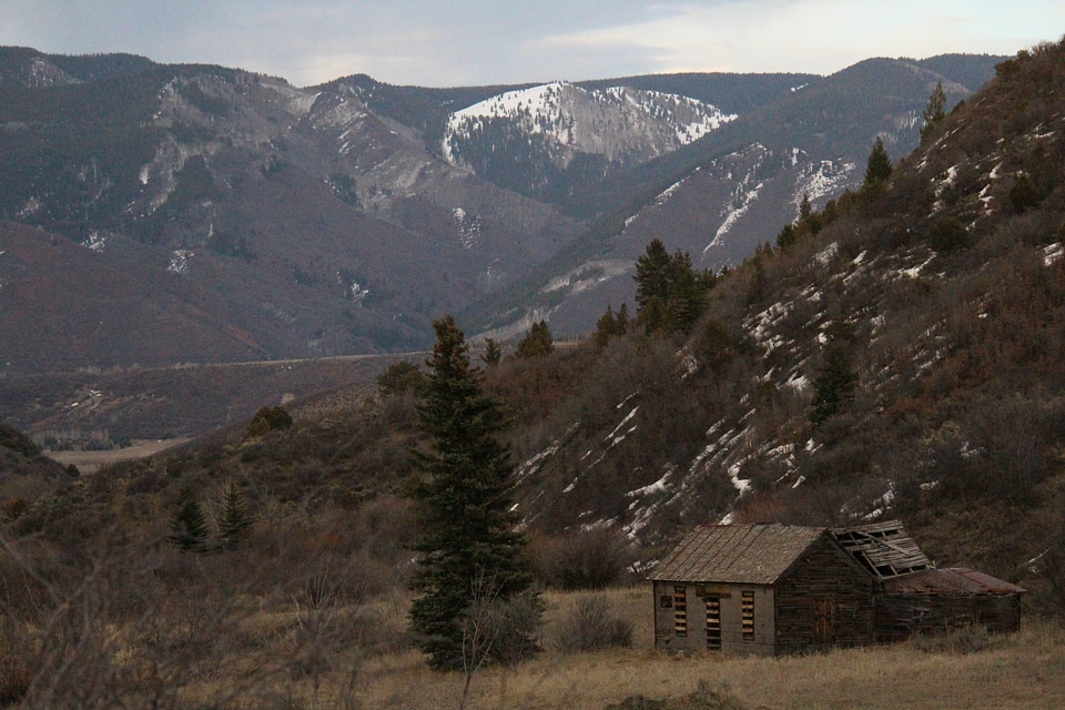 Abies architecture barn