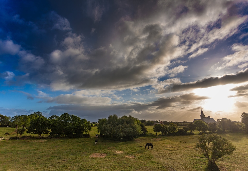 Animal building clouds
