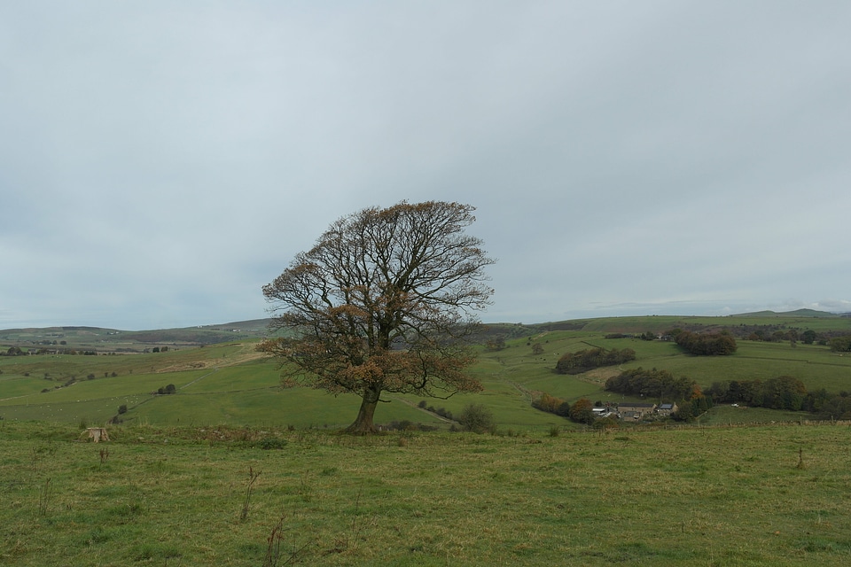 Countryside farm field