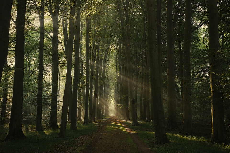 Centered dirt road flare