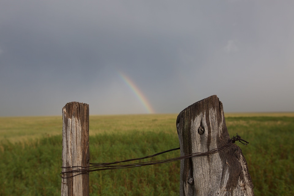 Countryside fence field