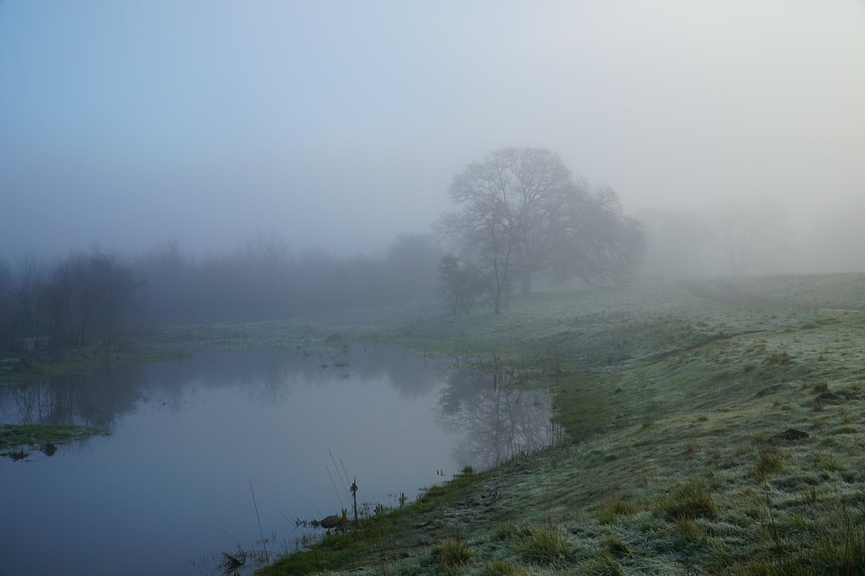 Fog mist nature photo