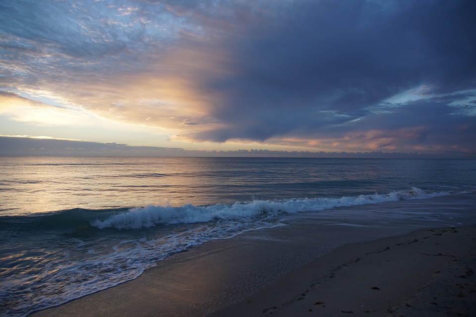 Beach coast nature photo