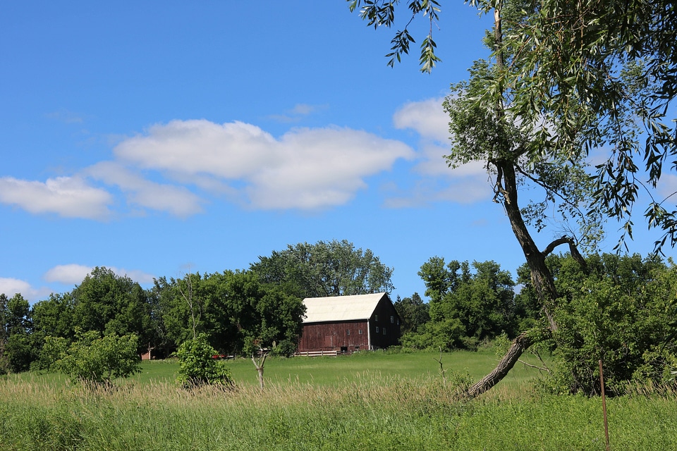 Blue building cabin