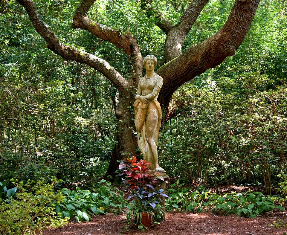 Goddess mythical live oak