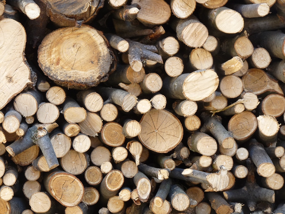Work firewood stock