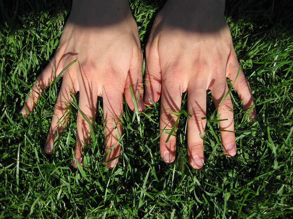 Finger meadow green