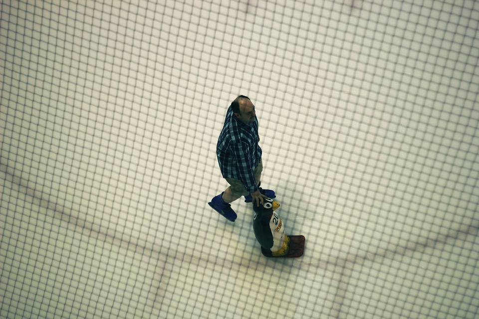 Dubai mall ice rink