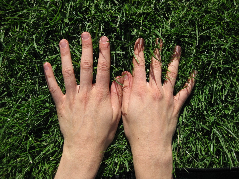 Finger meadow green