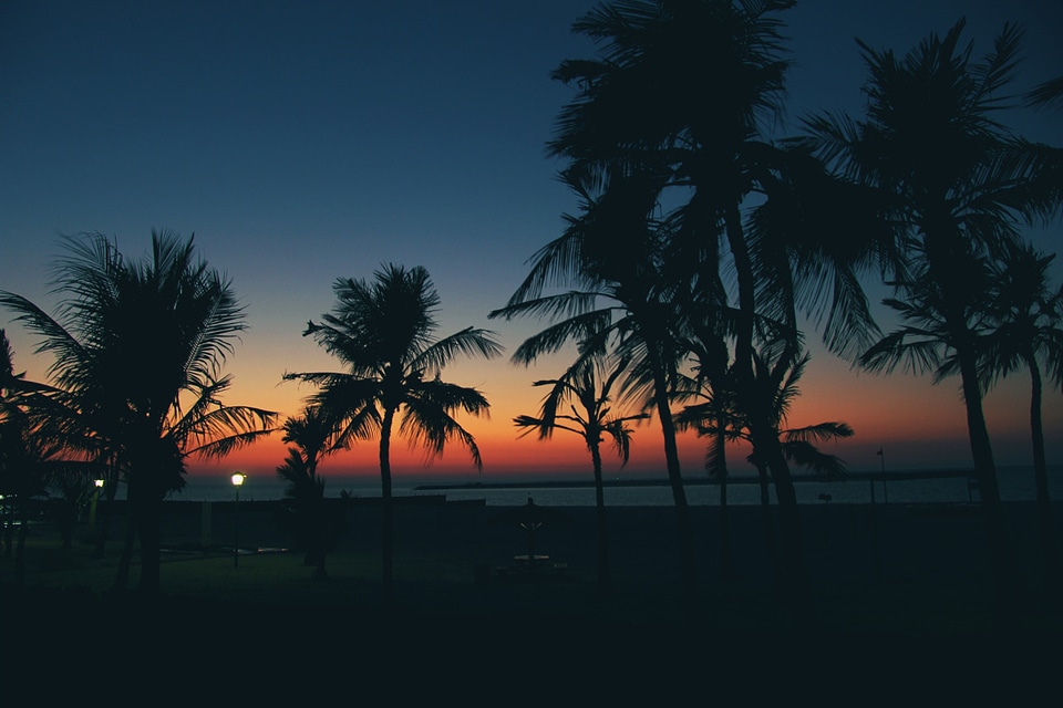 2 Picnic at jumeirah beach park