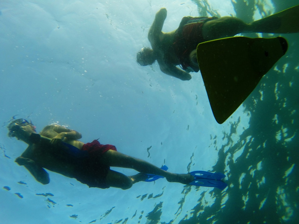 3 Snorkelling in fujairah snoopy island
