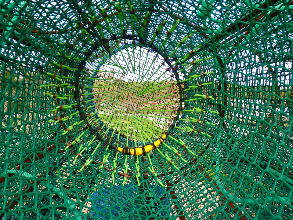 Coast fisherman green