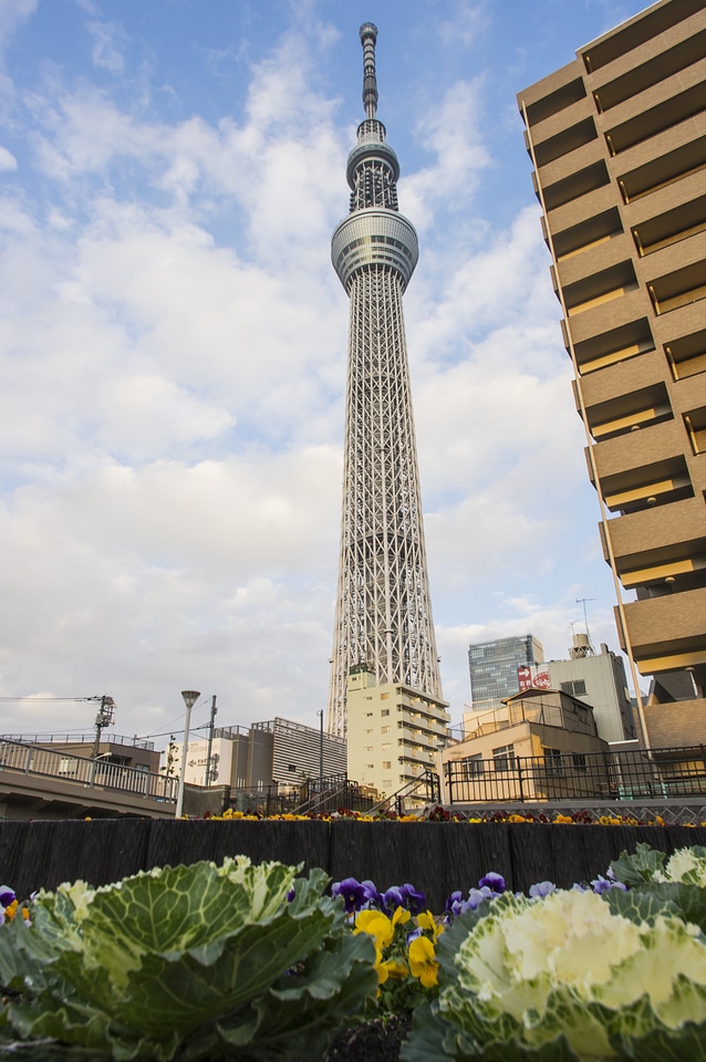 22 Tokyo Sky Tree