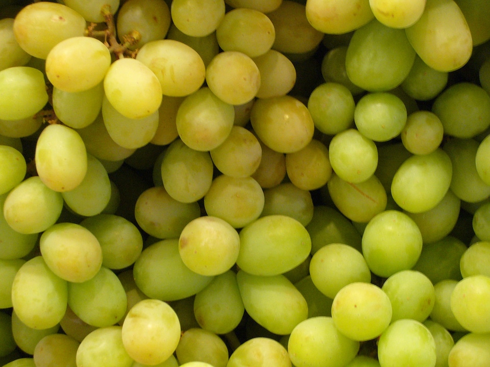 Market healthy vitamins