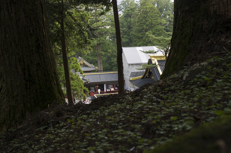 12 Nikko Futarasan Shrine