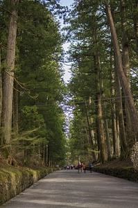 18 Nikko Futarasan Shrine