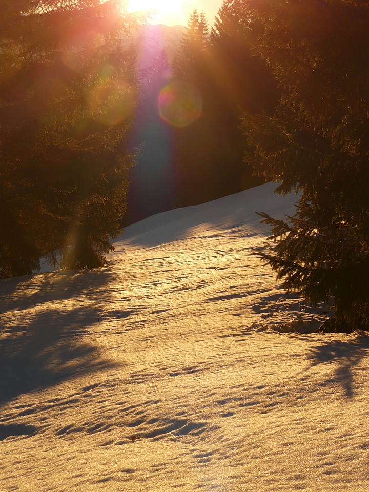 Backlighting golden sun photo