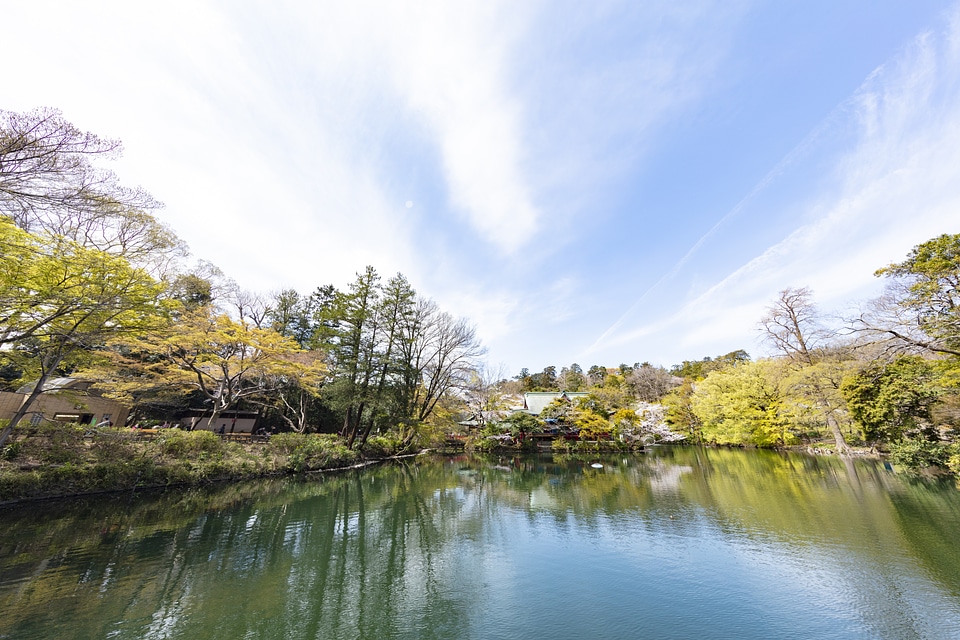 36 Inogashira Park