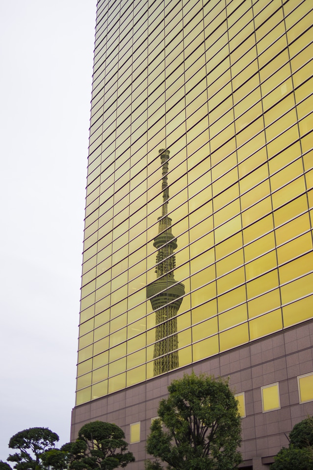 5 SkyTree
