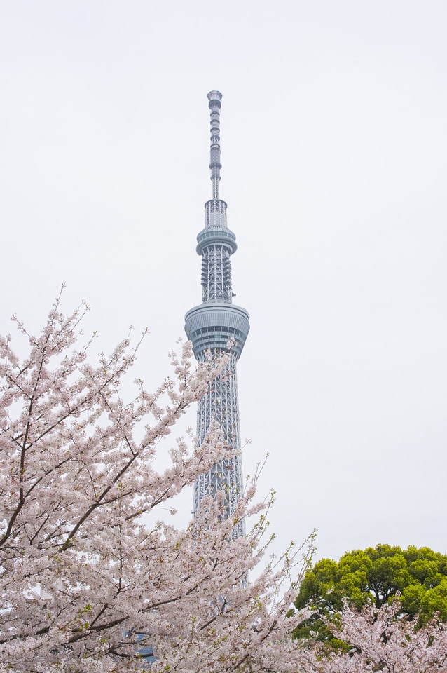 18 SkyTree