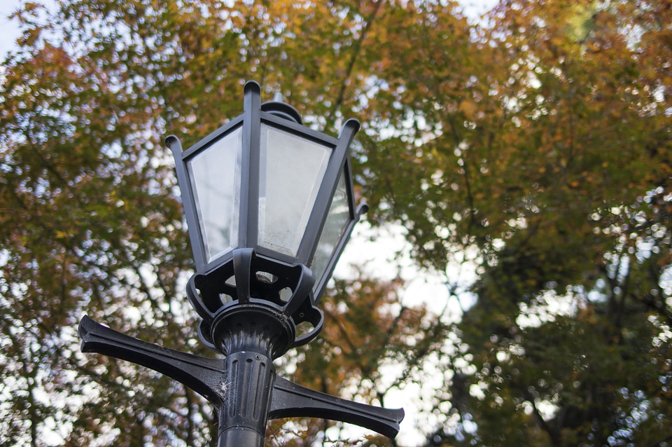 3 Light