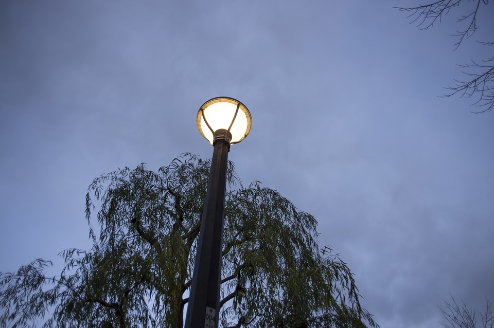 5 Light