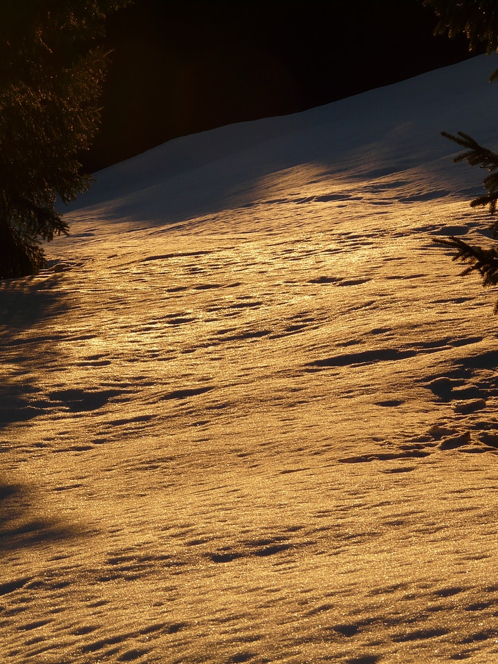 Backlighting golden sun