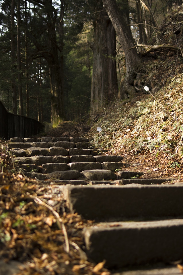 13 Stairs