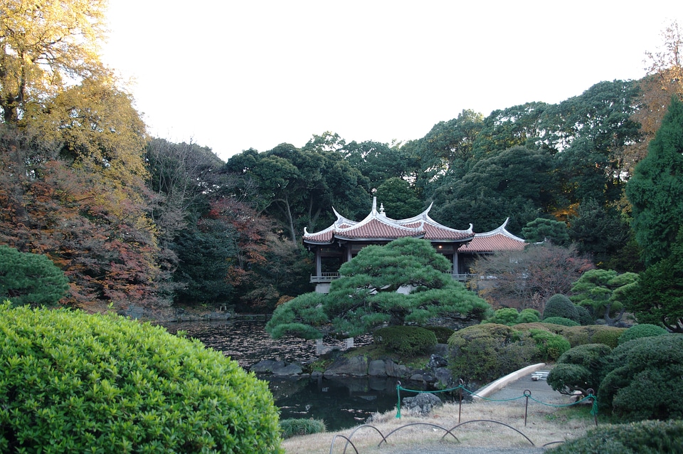 15 Shinjuku Gyoen