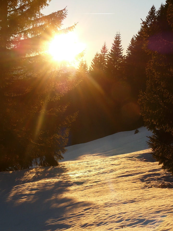 Backlighting golden sun