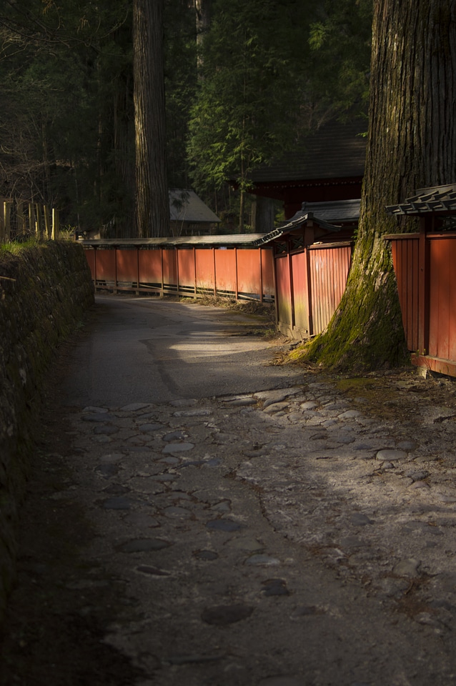 1 Nikko Toshogu Shrine