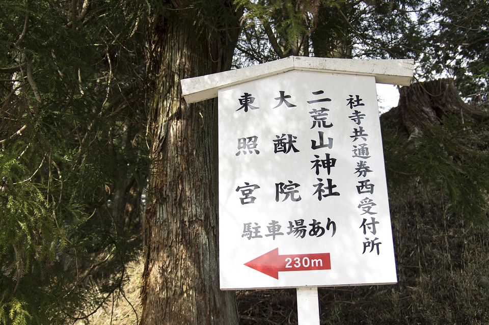 2 Nikko Toshogu Shrine