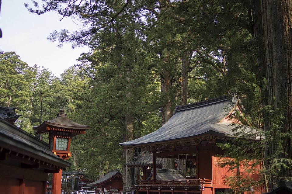 5 Nikko Toshogu Shrine