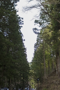 7 Nikko Toshogu Shrine