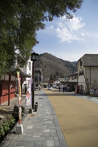 8 Nikko Toshogu Shrine