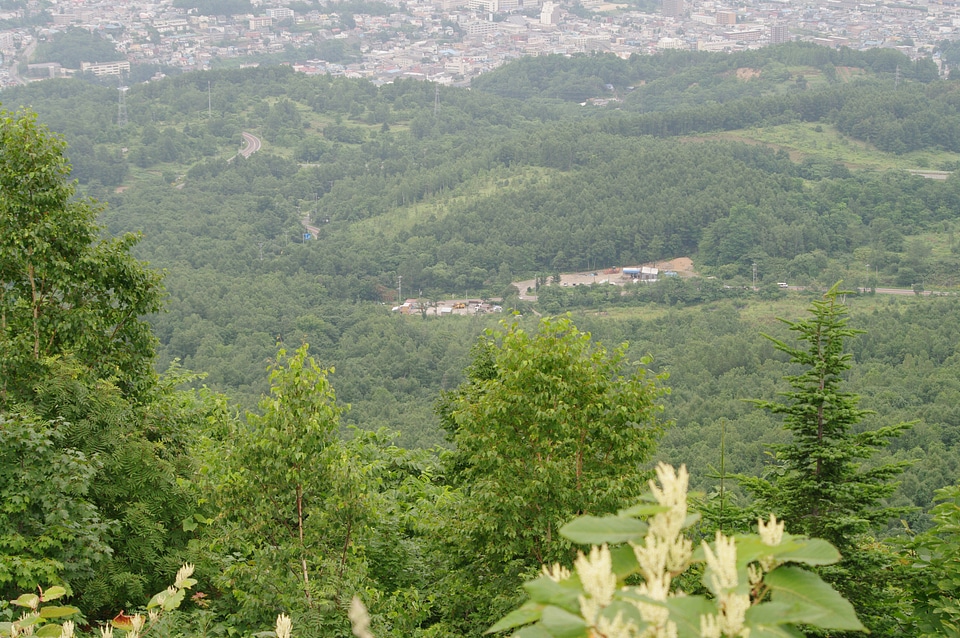 21 Otaru