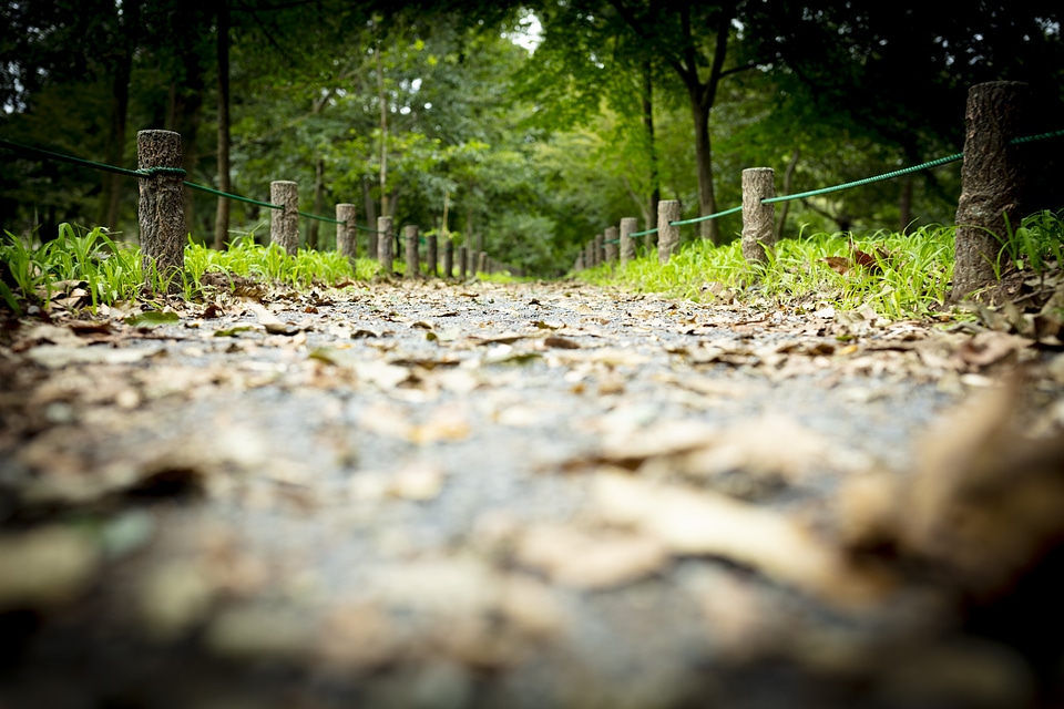 1 Road