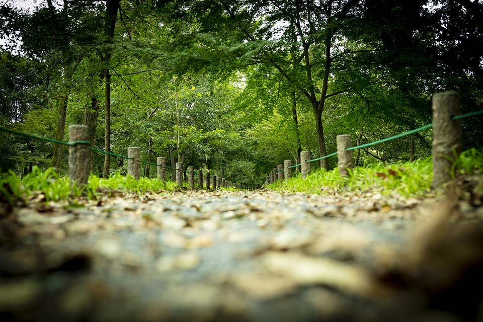 22 Road