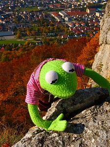 Rock kermit frog