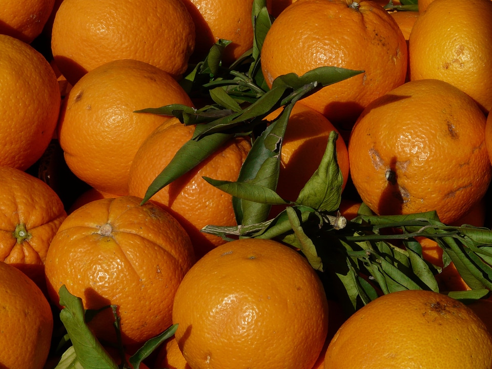 Citrus fruits vitamins food