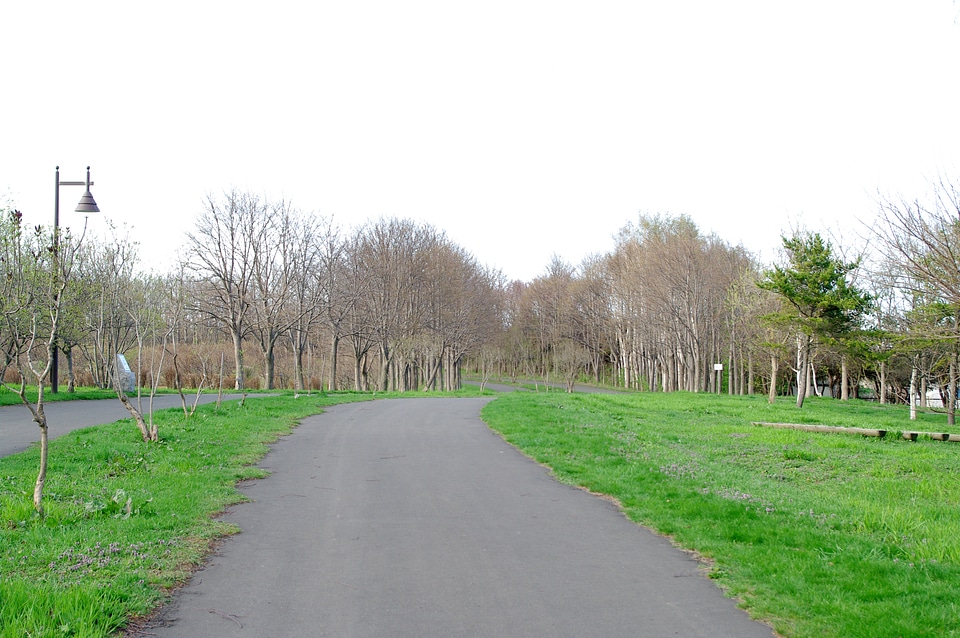 5 Maedashinrin Park 