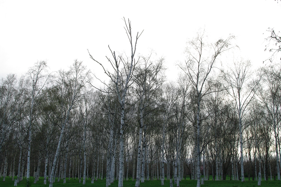 3 Maedashinrin Park 