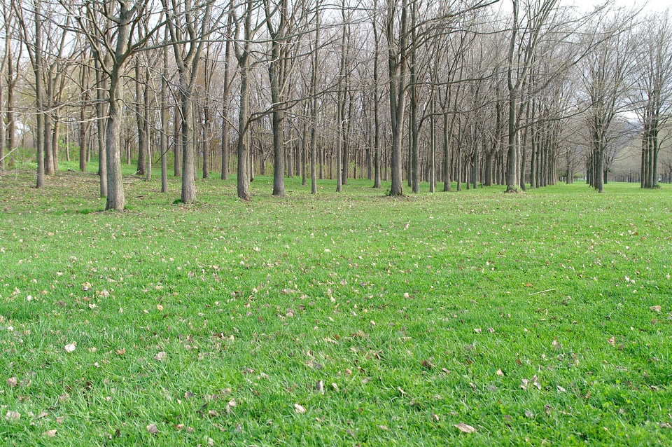 8 Maedashinrin Park 
