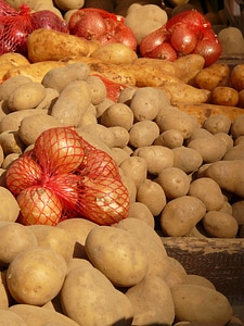 Potato food ingredient photo