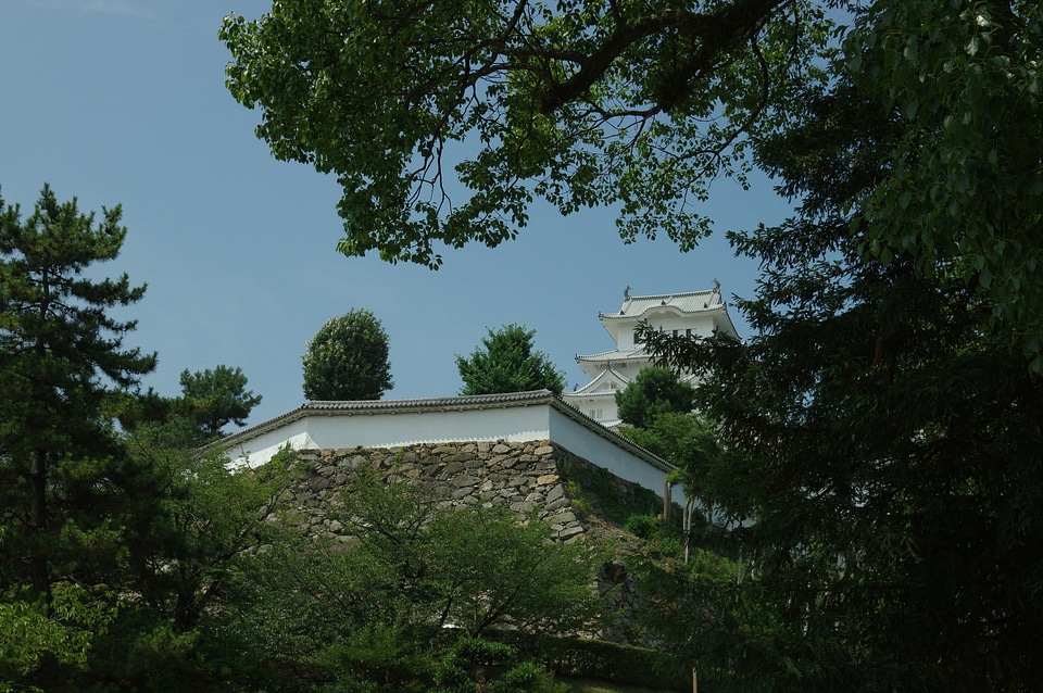 12 Himeji castle