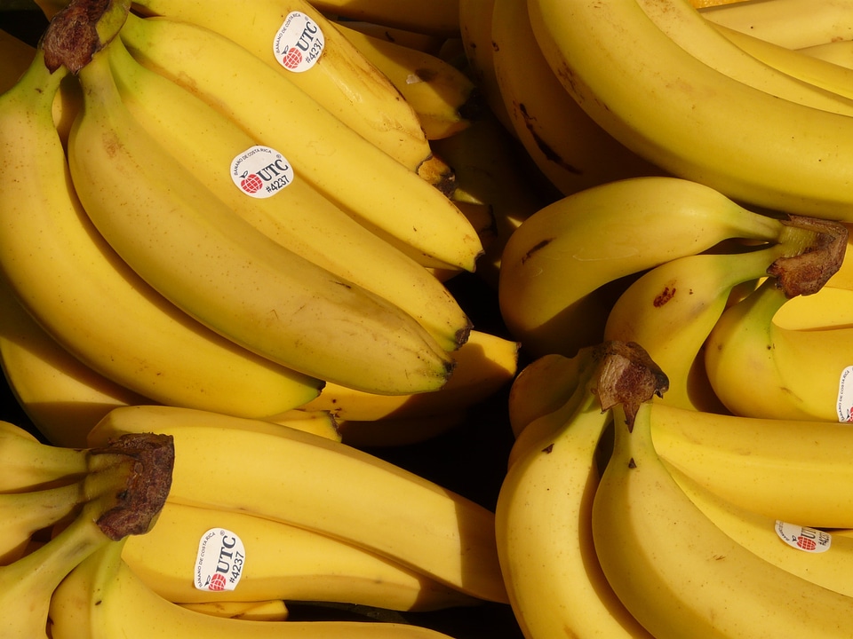 Yellow tropical food